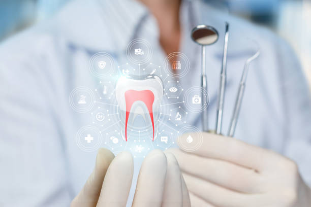 Professional  Holistic Dental Services in Buckhead Ridge, FL